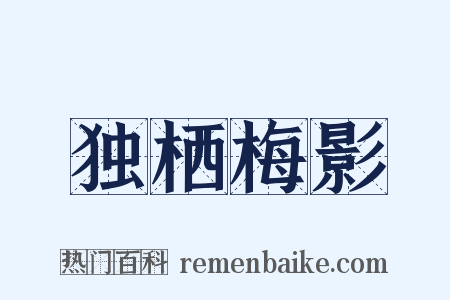 独栖梅影是什么意思的图片